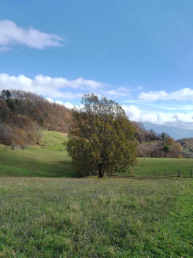 028 - Agriturismo "Il Boschetto" Con Piscina, Pace E Natura - Camera Familiare Cavizzano Exteriér fotografie