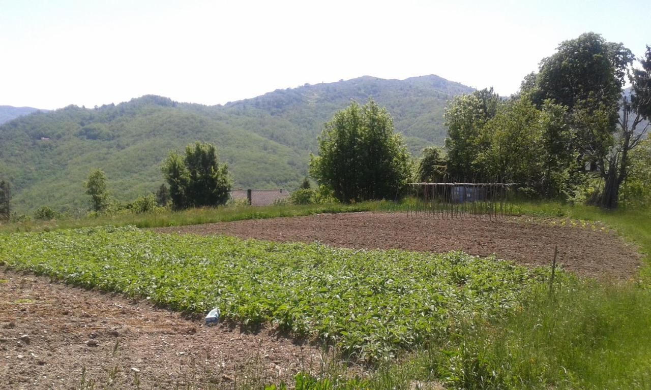 028 - Agriturismo "Il Boschetto" Con Piscina, Pace E Natura - Camera Familiare Cavizzano Exteriér fotografie